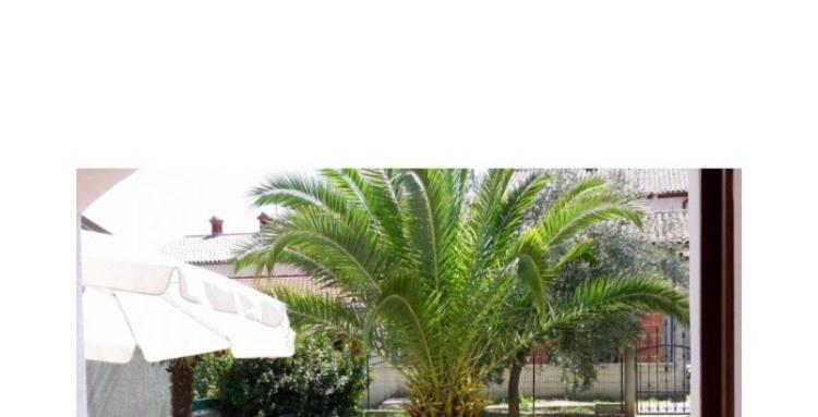 Leone Apartments With Free Parking Pula Buitenkant foto